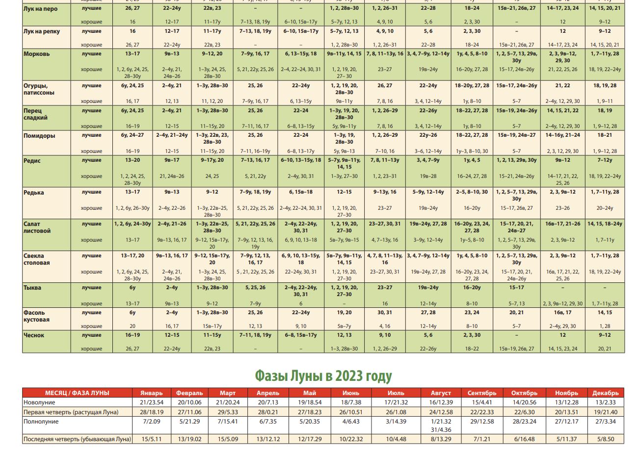 Посевной календарь на 2023 год. Сажаем по Луне и собираем небывалые урожаи - Чыр